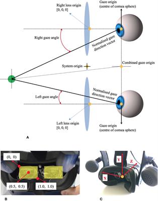 Assessing Saccadic Eye Movements With Head-Mounted Display Virtual Reality Technology